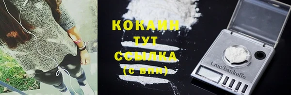 СК Няндома