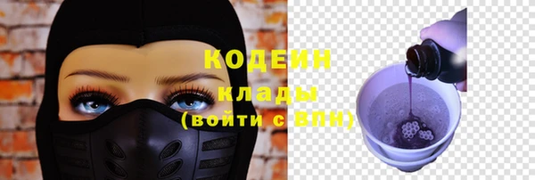 СК Няндома