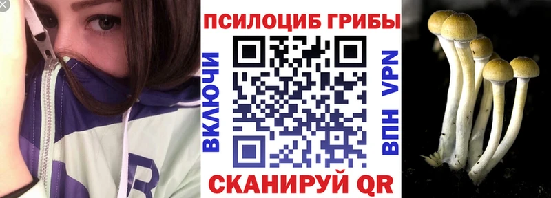 сколько стоит  Полысаево  Псилоцибиновые грибы MAGIC MUSHROOMS 