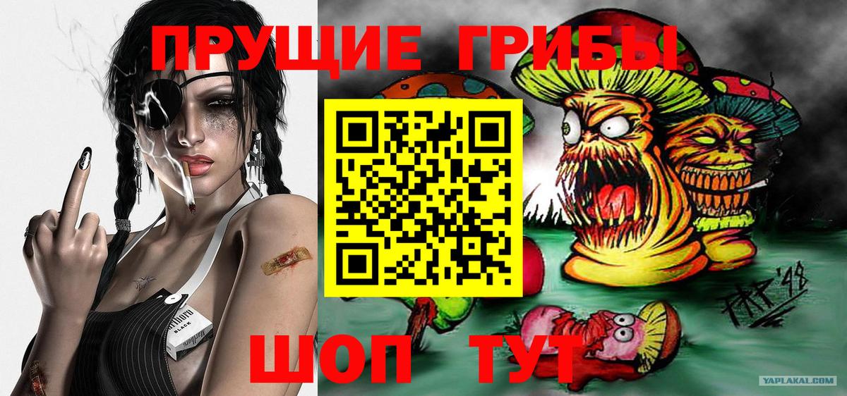 Псилоцибиновые грибы ЛСД  цена   Полысаево 