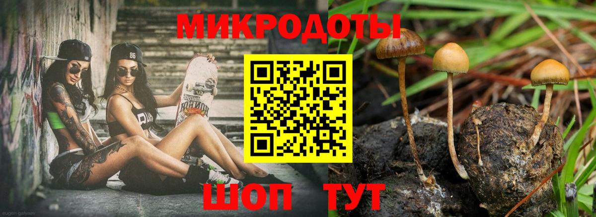Псилоцибиновые грибы GOLDEN TEACHER Полысаево